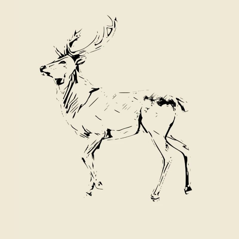 Hirsch