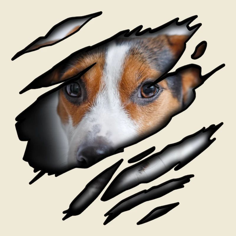 Jack Russel Terrier en moi