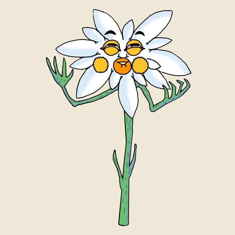 edelweiss