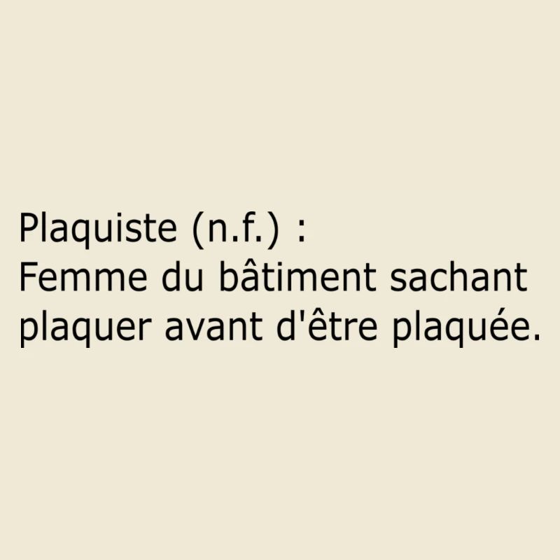 Plaquiste définition