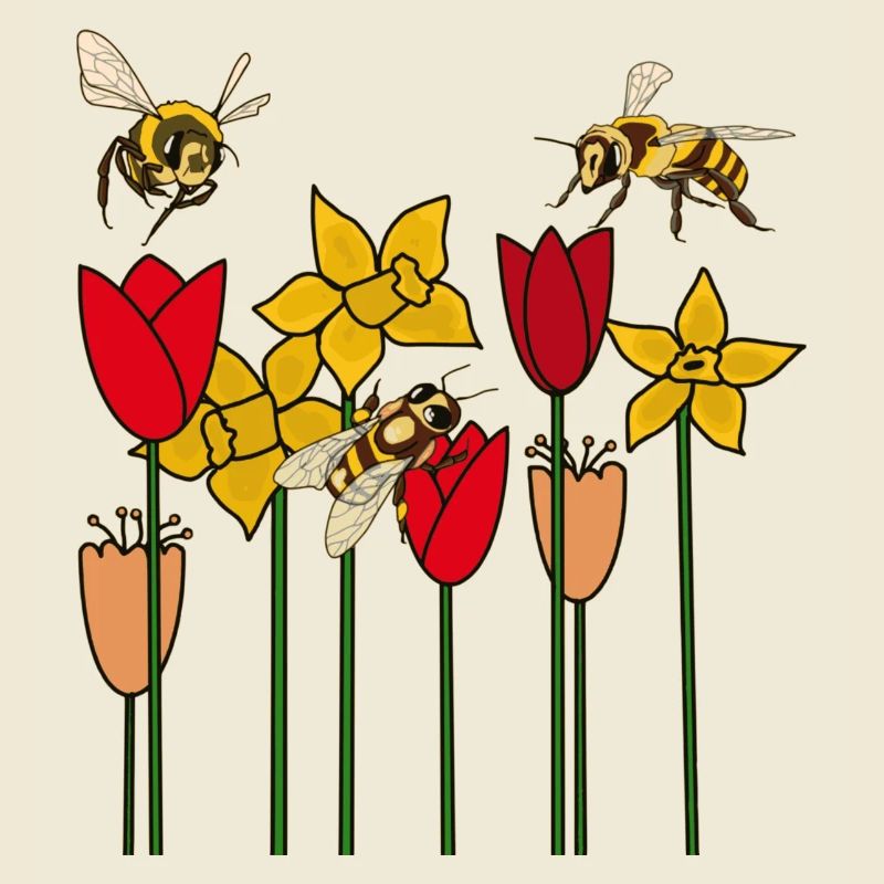 spring