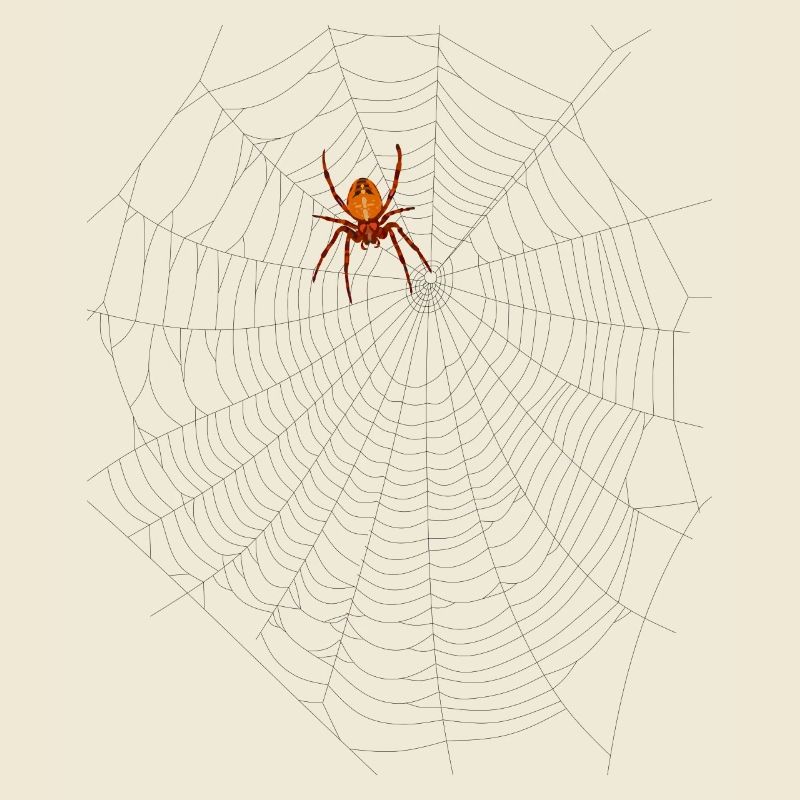 Spider with spider web