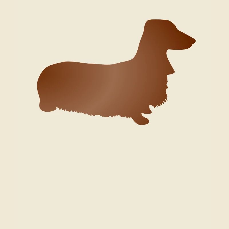 Dachshund