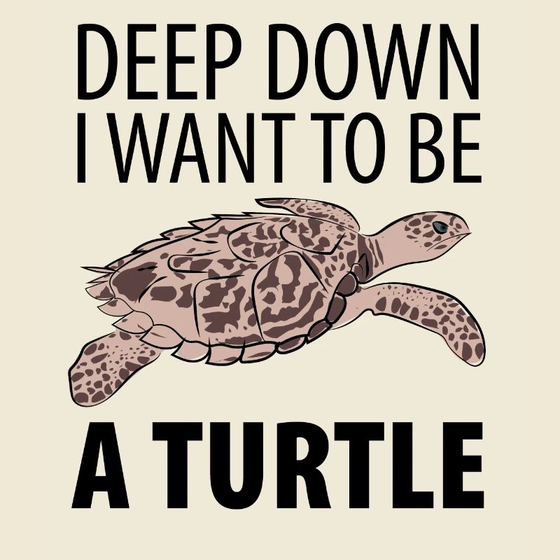 Turtle turtle