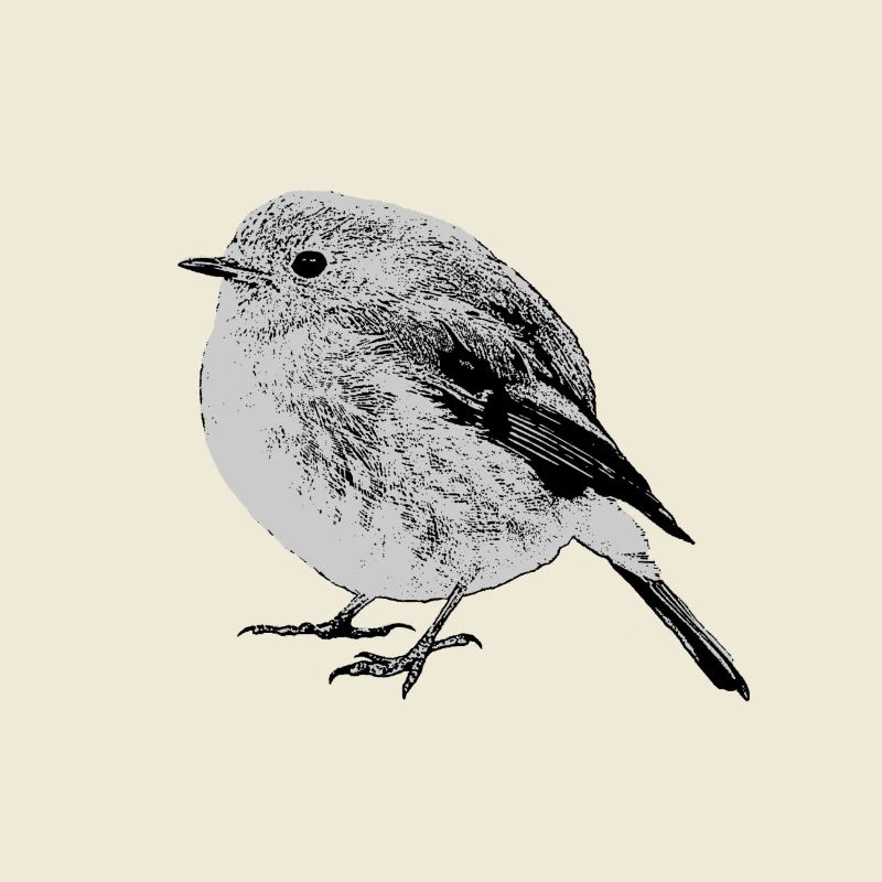 Robin sw
