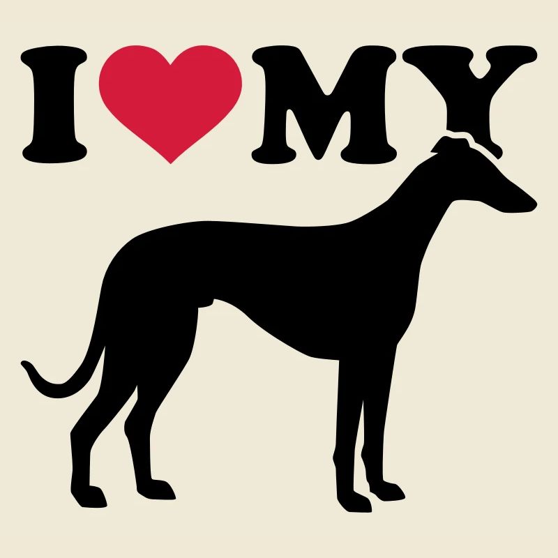 Whippet