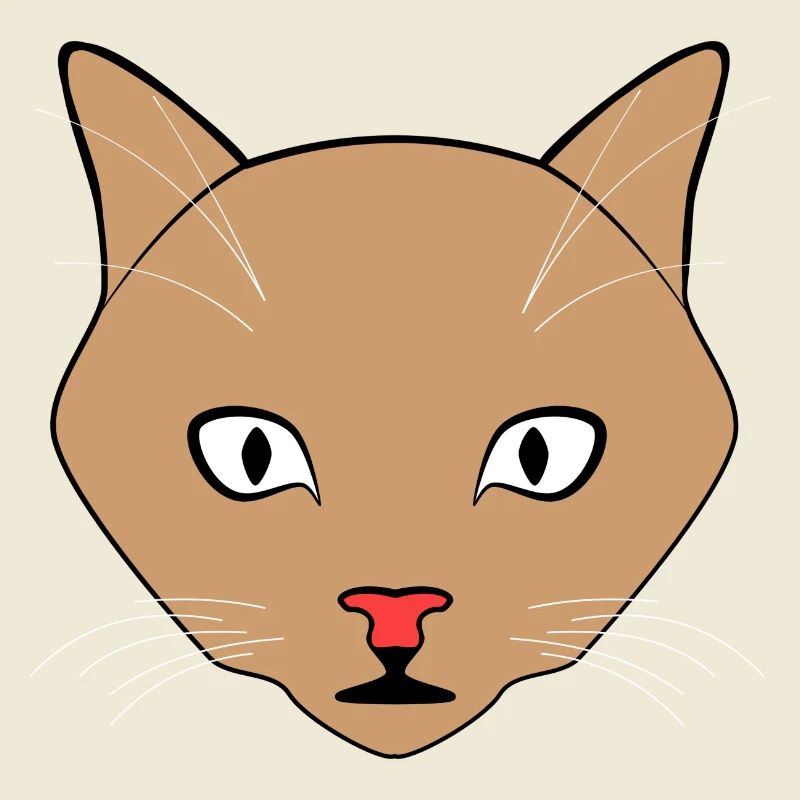 Chat Brun