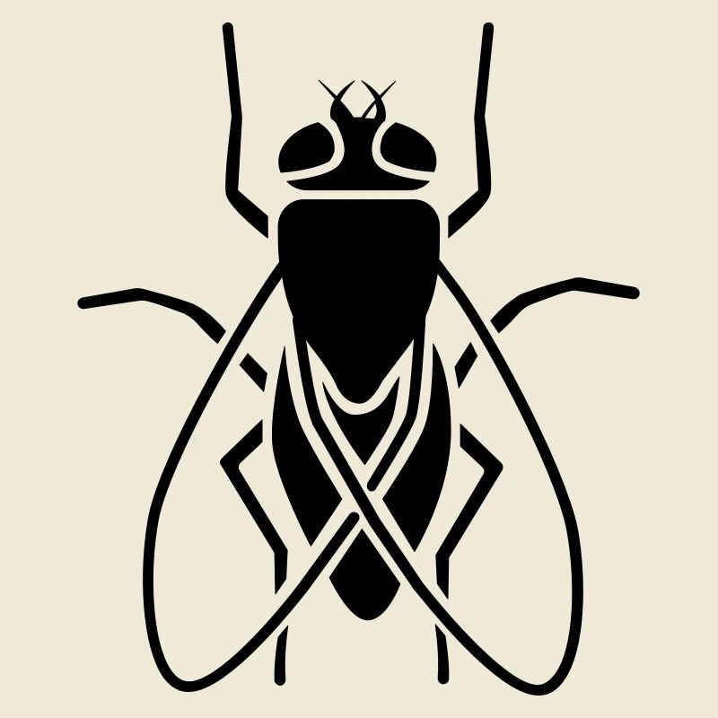 Insectes - Fly