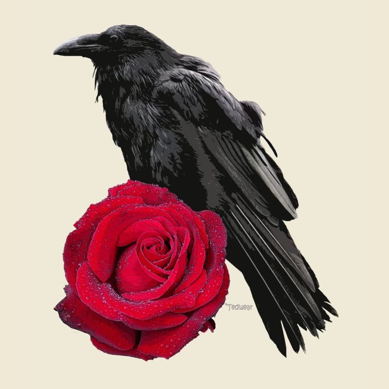 Krähenrose