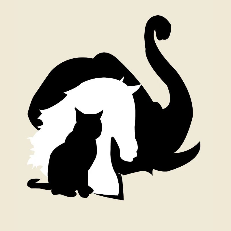 Éléphant cheval chat animaux conception