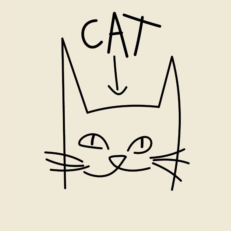 Chat Chat cool chat