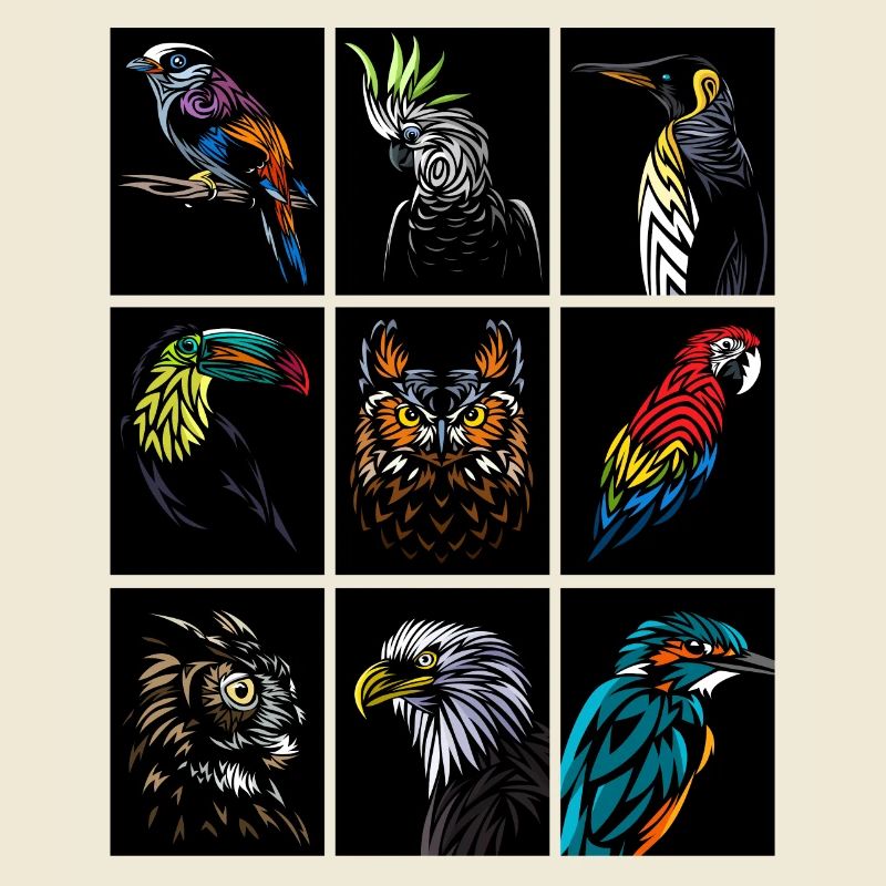 Rectangles with birds