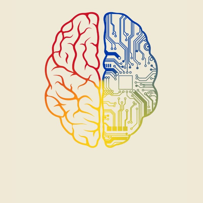 Programmeur HTML - Développeur Programmation Brain Fun
