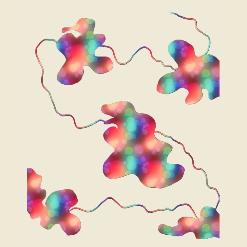 Imaginer