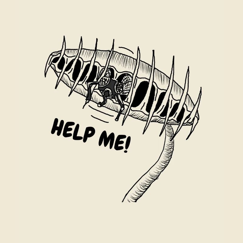 Venus Flytrap Carnivorous Plant Art