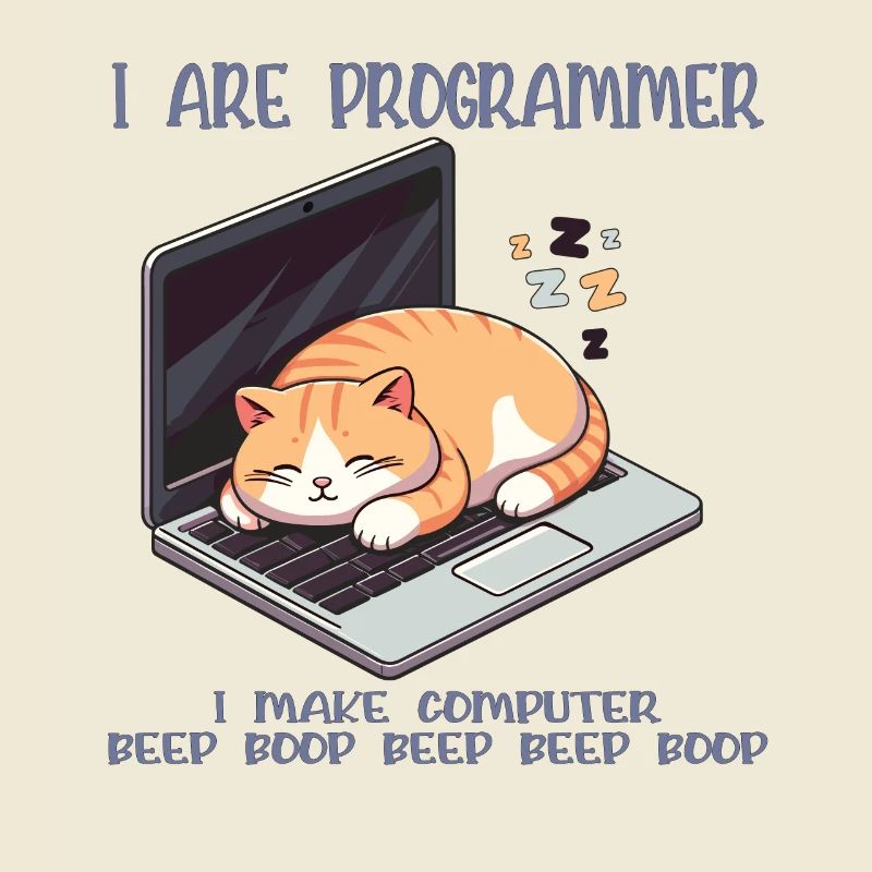 Je suis programmeur, gros chat endormi