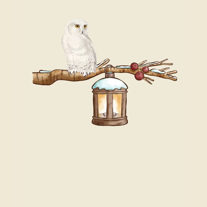 Winter-Eule Winter Owl