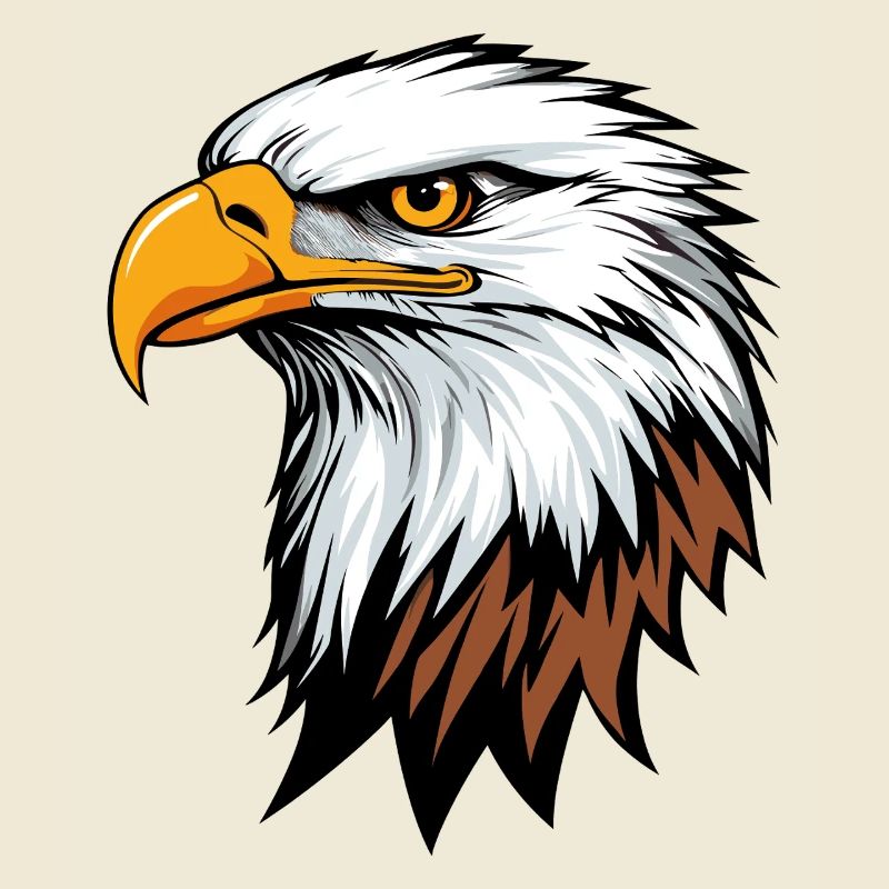 Aigle Pygargue à queue blanche Oiseau de proie Oiseau de proie États-Unis