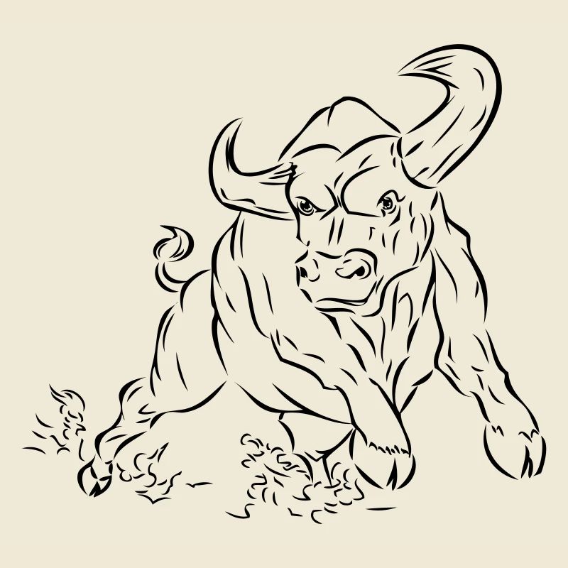 Stier
