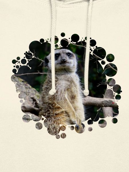 Erdmännchen