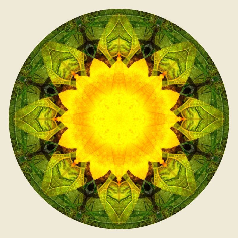 Mandala-Quantum 5