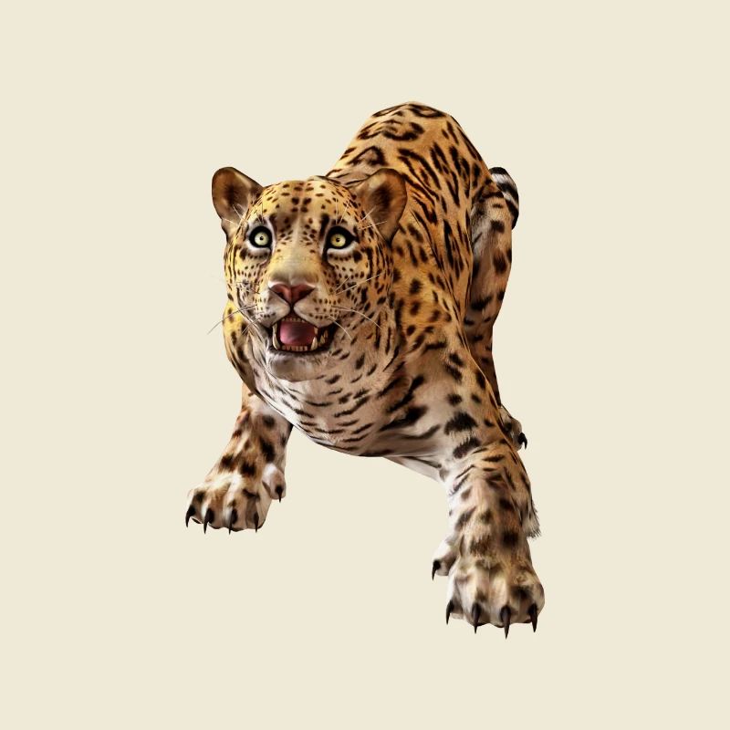 Leopard