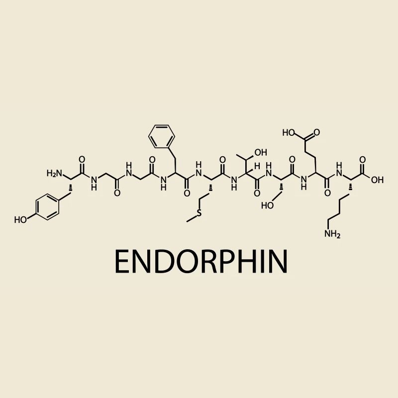 endorphine