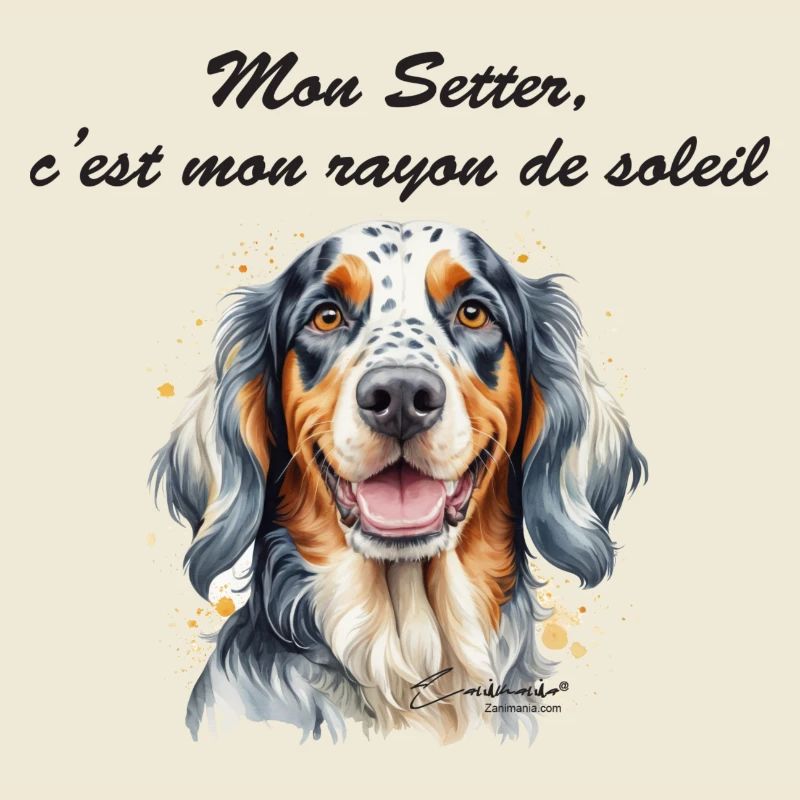 Setter rayon de soleil
