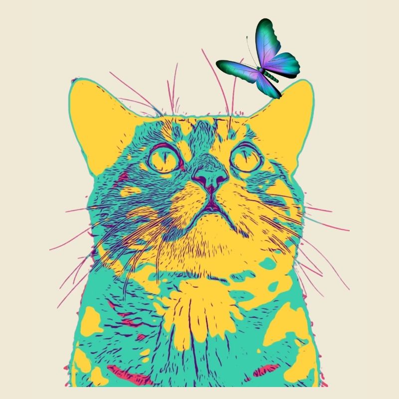 le papillon aime le chat