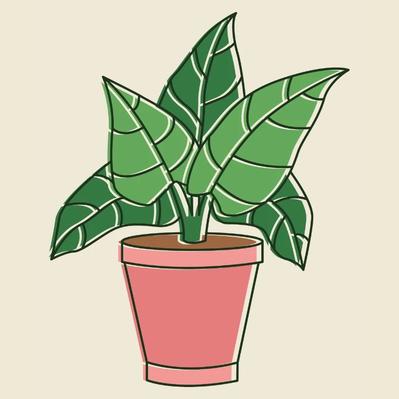 fall plants for u