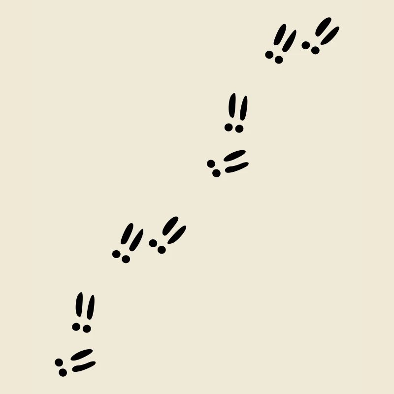 Empreintes - Traces