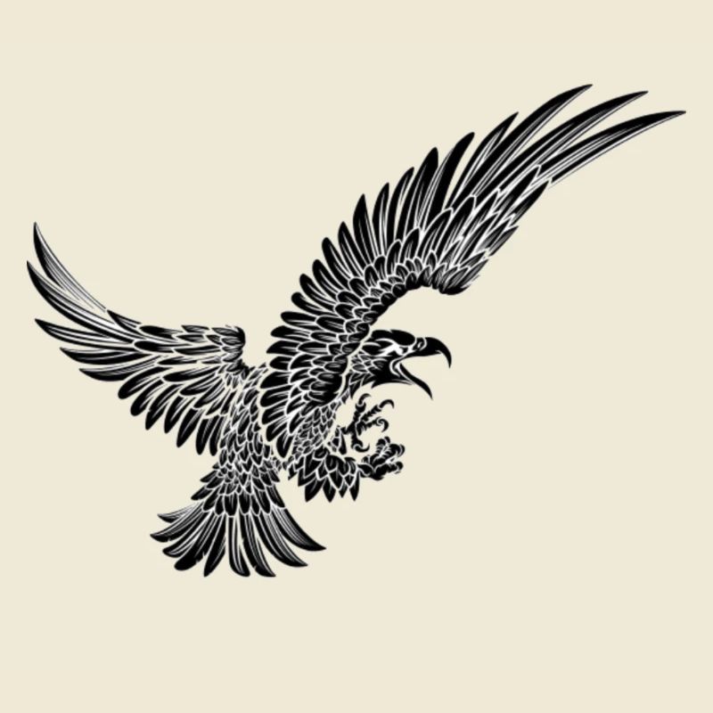 eagle eagle graphic art in flight