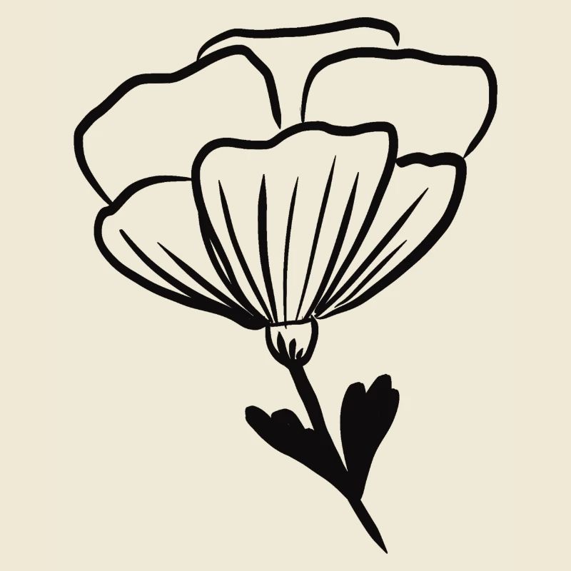 Blume Hübsch Blümchen Geschenk