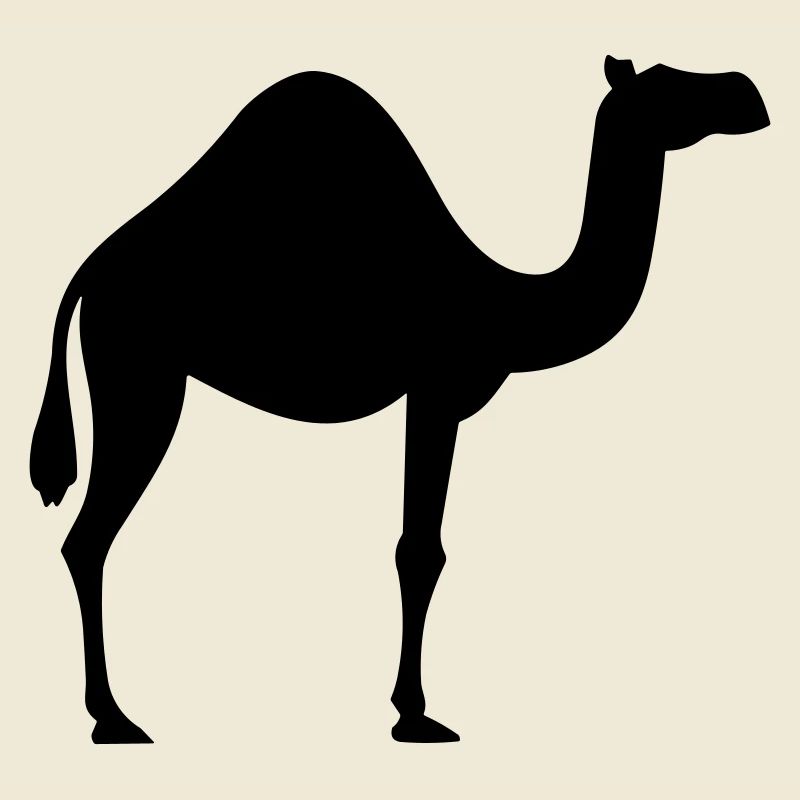 Kamel