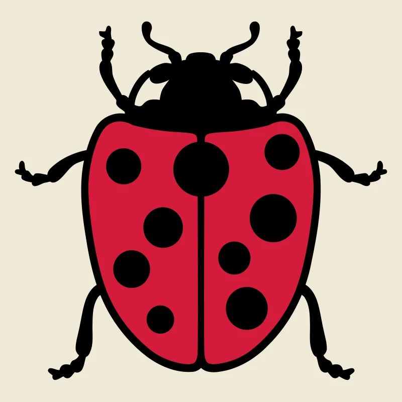 Ladybug