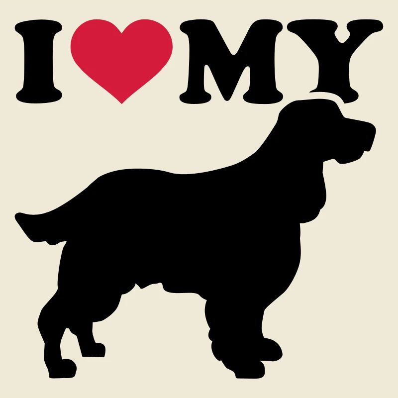 English Springer Spaniel