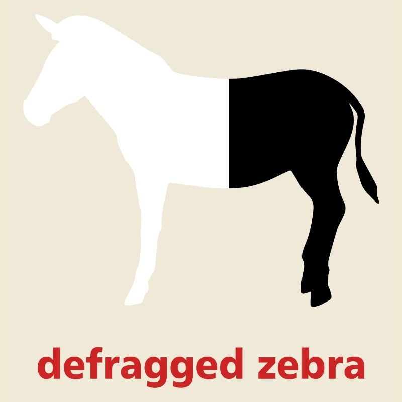 Defragged zebra Computer Science Programming Gift