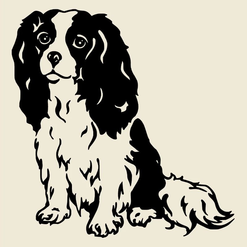 Cavalier King Charles Spaniel