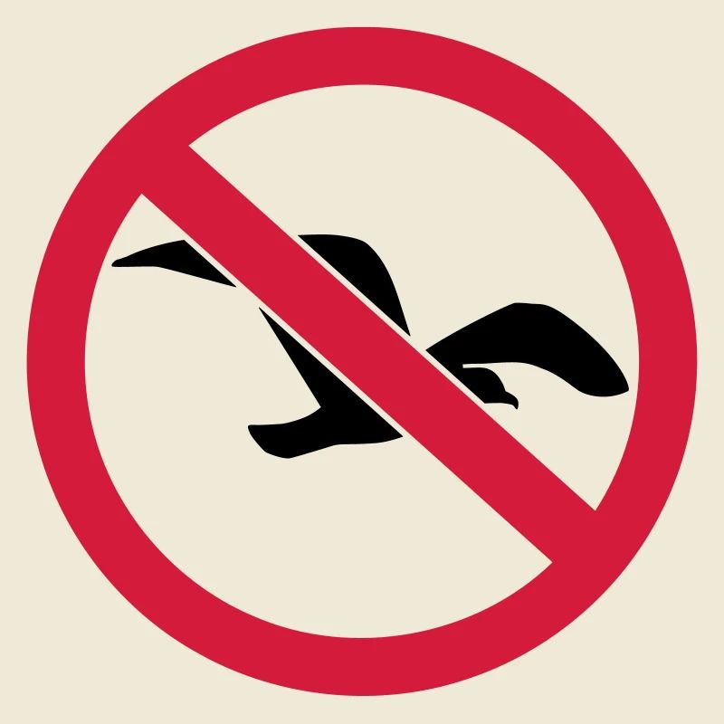 Möwe