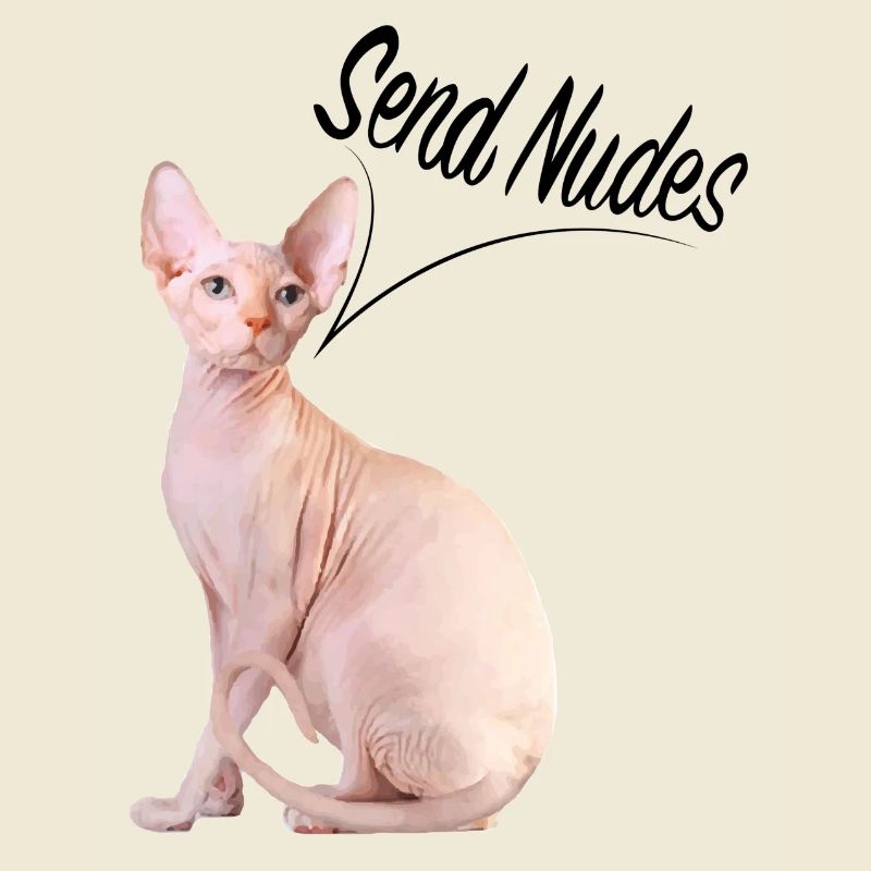 DESSIN NUMÉRIQUE SPHYNX AVEC DEVIS DÉTOURNÉ