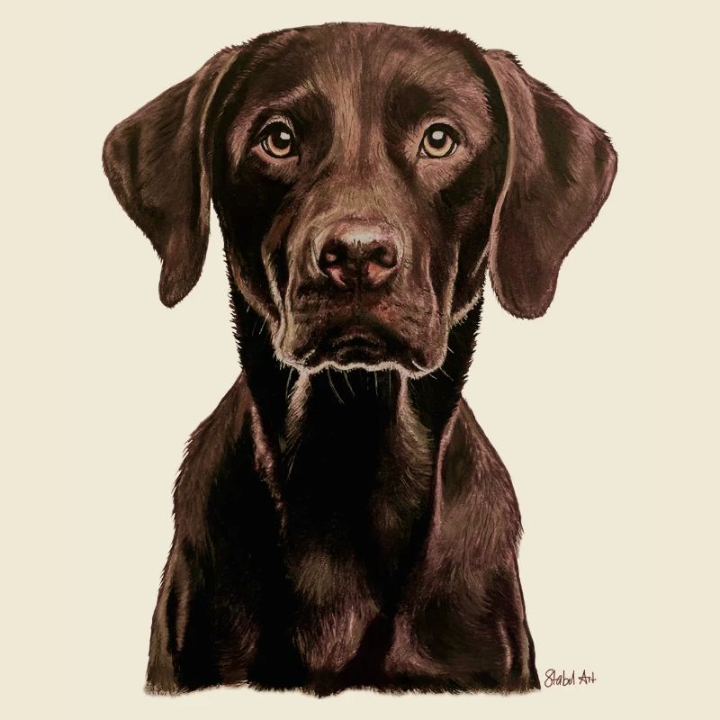 Labrador