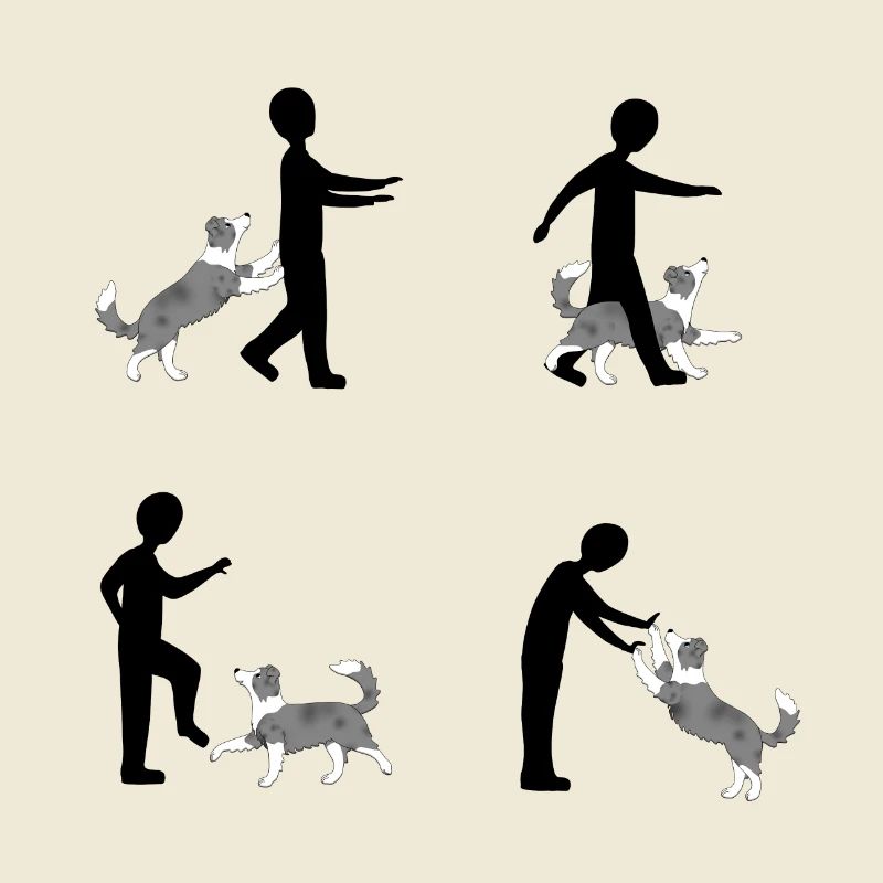 Four images pixels dog dancing Border Collie