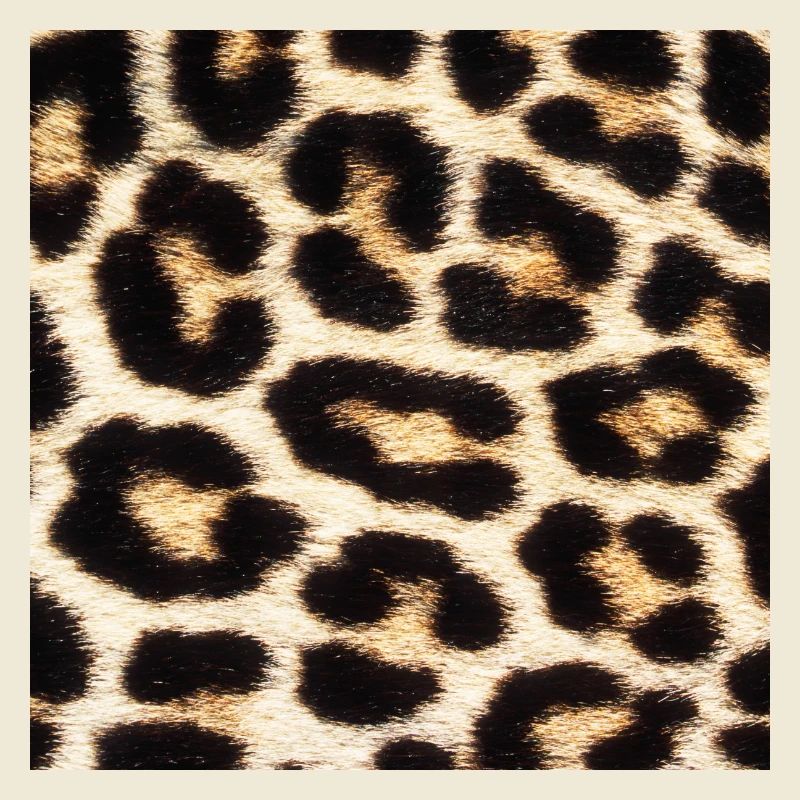 Amour d'impression Leo