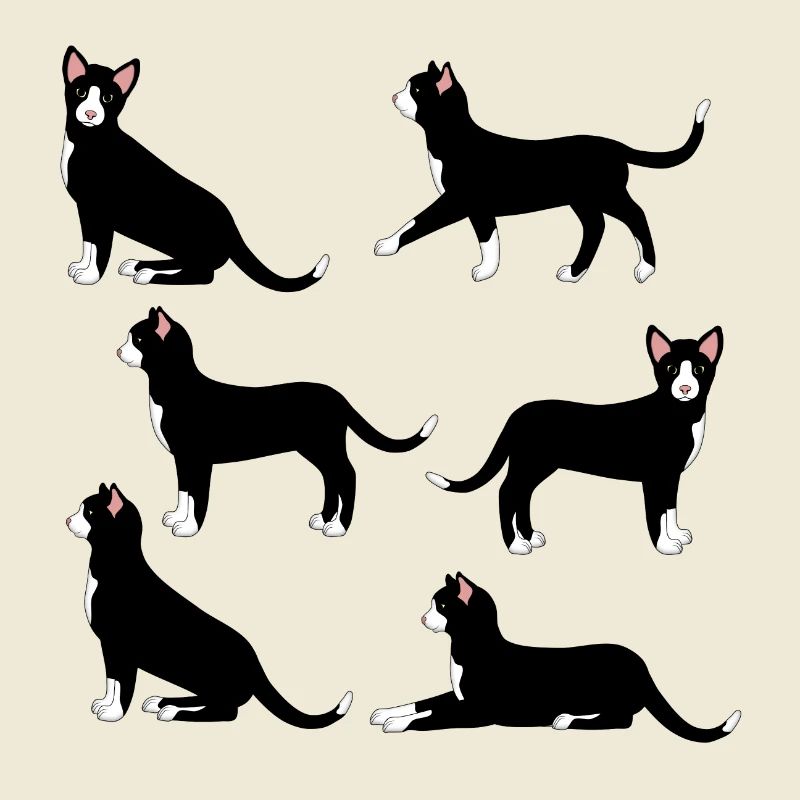 black and white cat selection