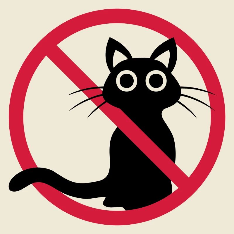 Chat noir interdit