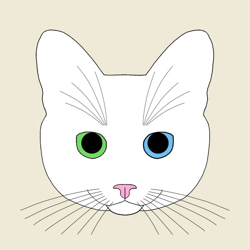 Chat blanc yeux vert bleu