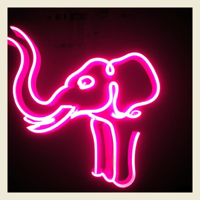 help_for_elephants_05