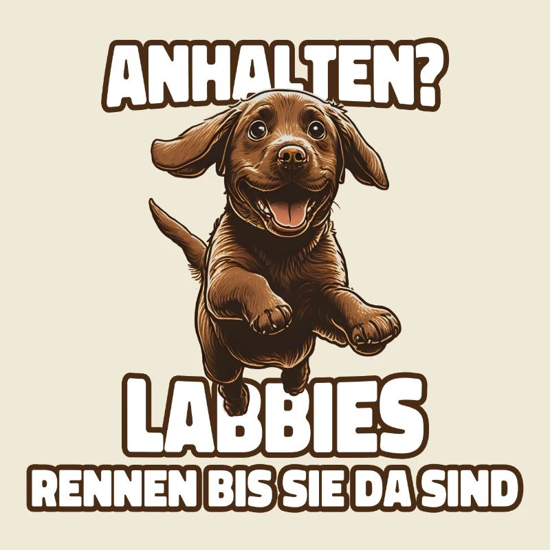 Labrador - Labbies rennen bis sie da sind