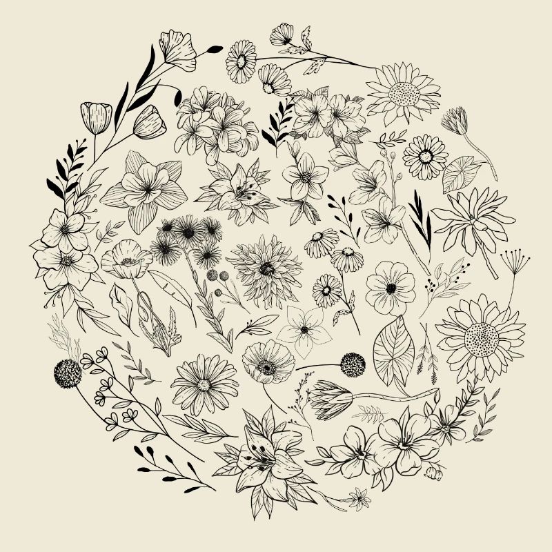 Fleur minimalistes