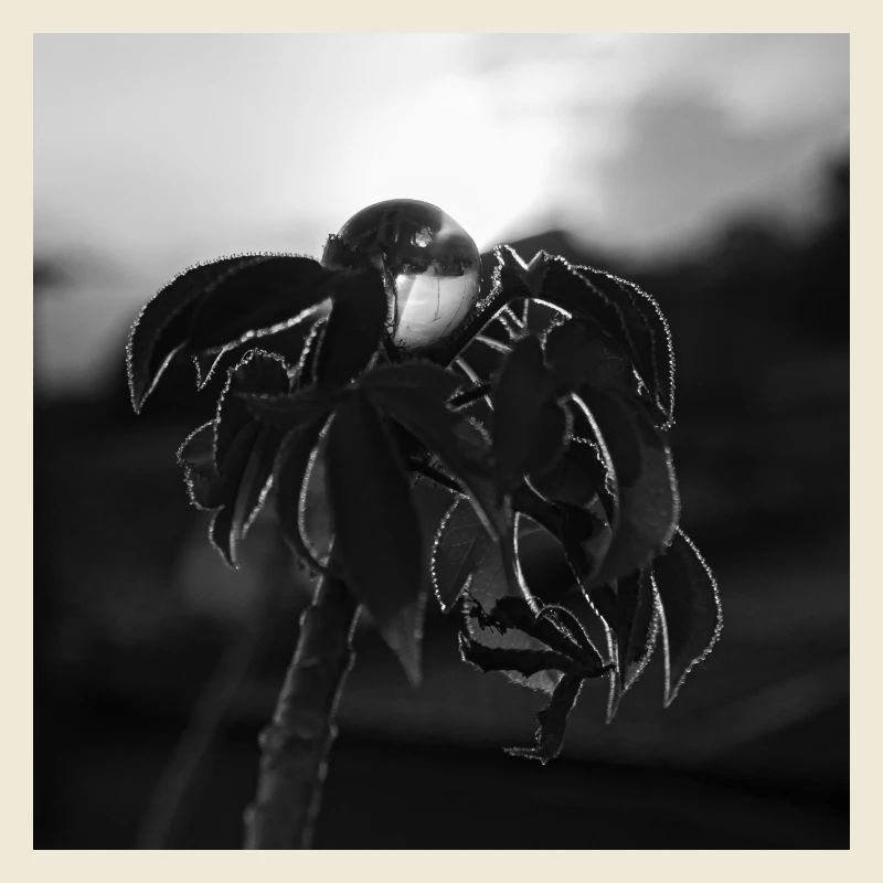 Der Marmor